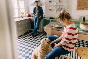 Read more about the article 3 Ways To Create a Pet-Friendly Kitchen